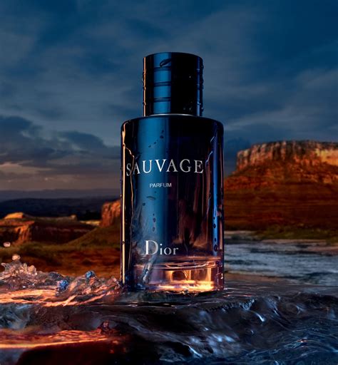 dior sauvage for mens perfume|dior sauvage website.